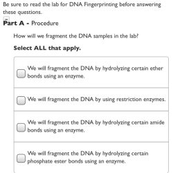 Dna fingerprinting in forensics answer key