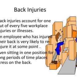 Osha back safety quiz answers