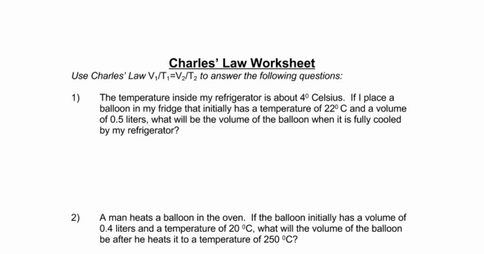 Boyle's law and charles law worksheet