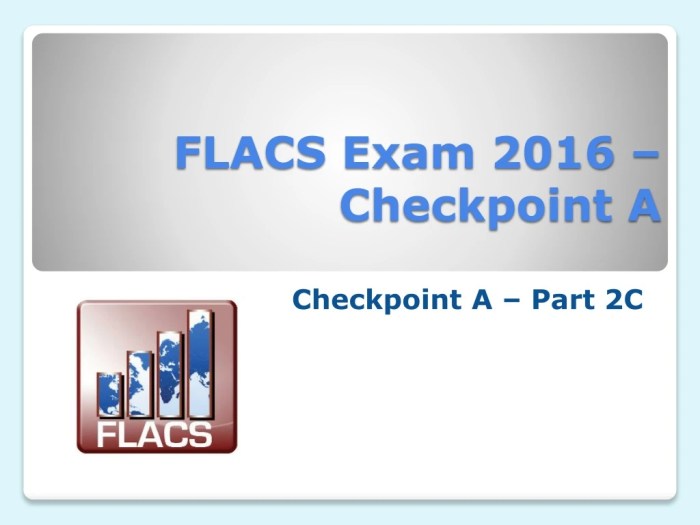 Flacs checkpoint a spanish exam pdf