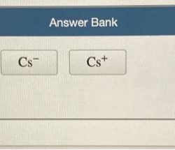 Arrange the atom and ions according to radius