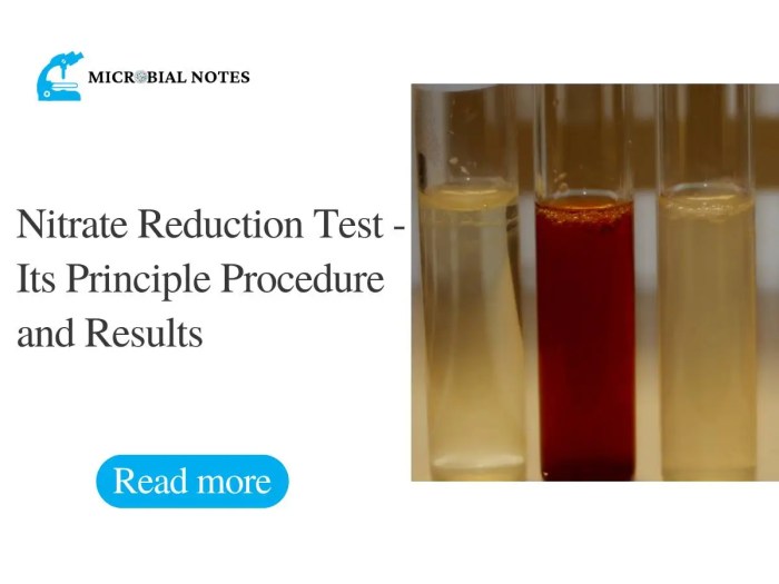 Pseudomonas aeruginosa nitrate reduction test