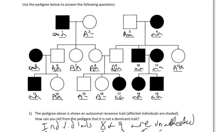 Pedigree hemophilia worksheet