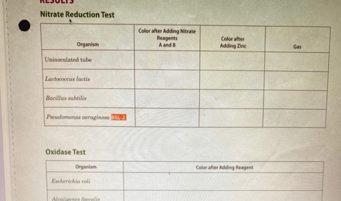 Pseudomonas aeruginosa nitrate reduction test