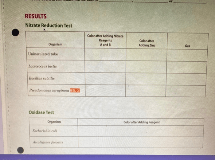 Pseudomonas aeruginosa nitrate reduction test