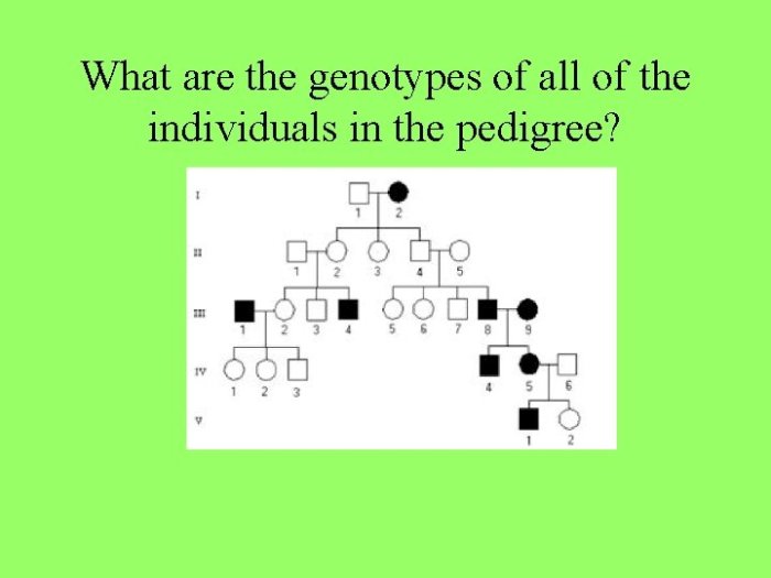 Pedigree huntington hemophilia traits studying