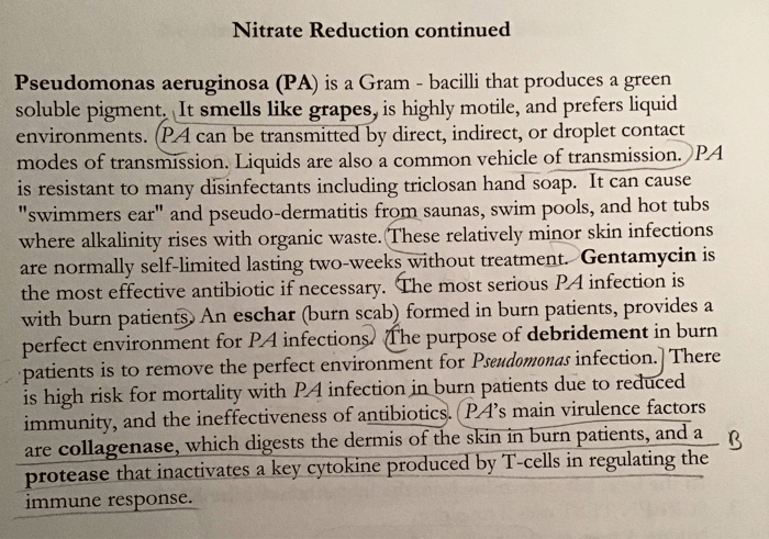 Nitrate test reduction microbiology